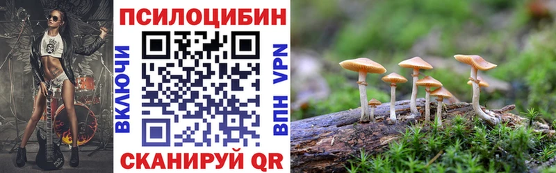 Псилоцибиновые грибы мицелий  Томмот 